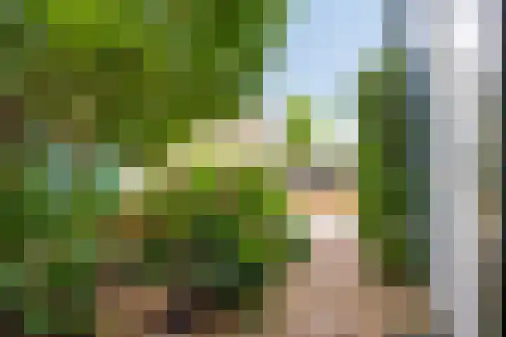 Reggedal 15 Capelle aan den IJssel thumbnail 32