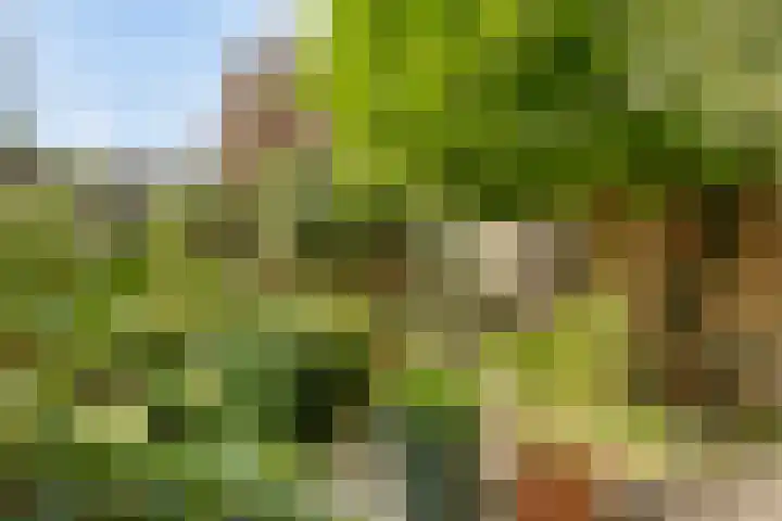 Reggedal 15 Capelle aan den IJssel thumbnail 33