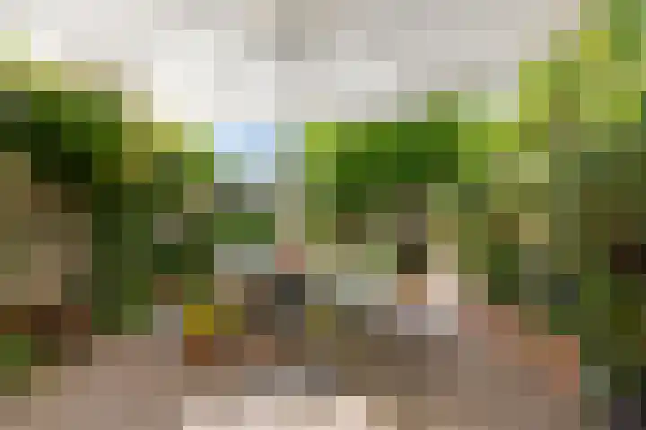 Reggedal 15 Capelle aan den IJssel thumbnail 4