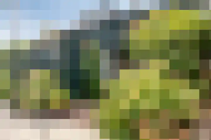 Reggedal 15 Capelle aan den IJssel thumbnail 5