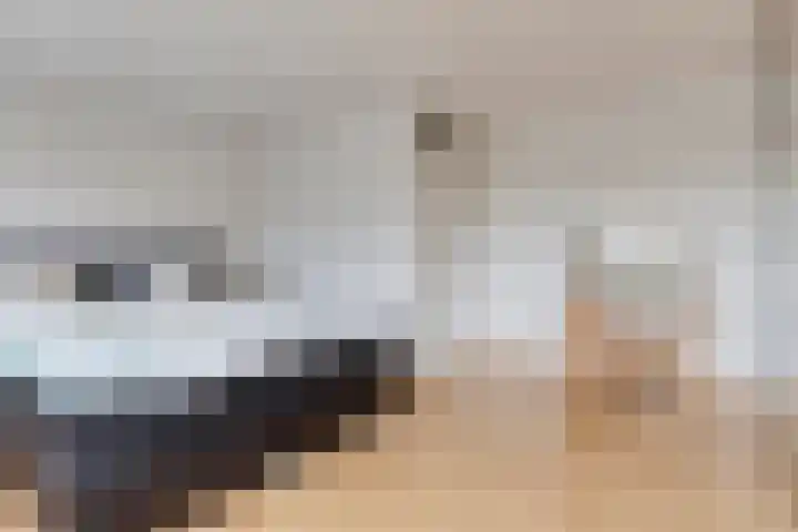 Reggedal 5 Capelle aan den IJssel thumbnail 13