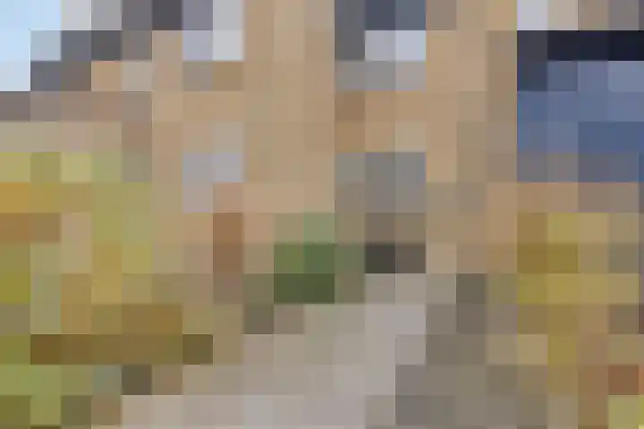 Reggedal 5 Capelle aan den IJssel thumbnail 4
