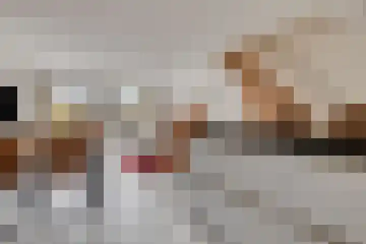 Reggedal 5 Capelle aan den IJssel thumbnail 9