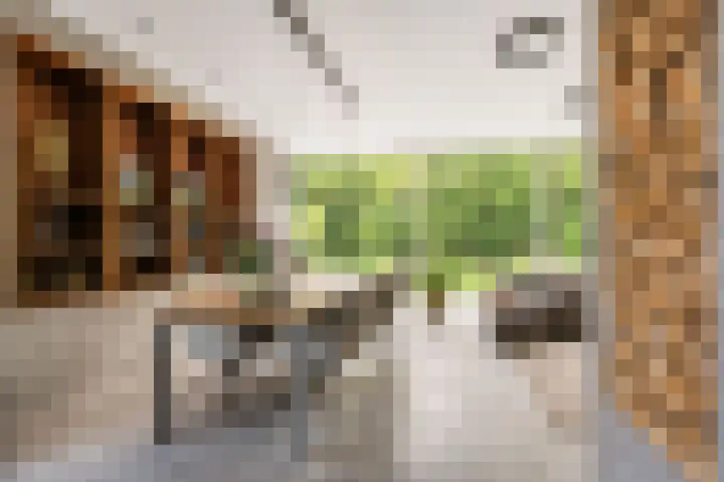 Reggelaan 12 Heemstede thumbnail 10
