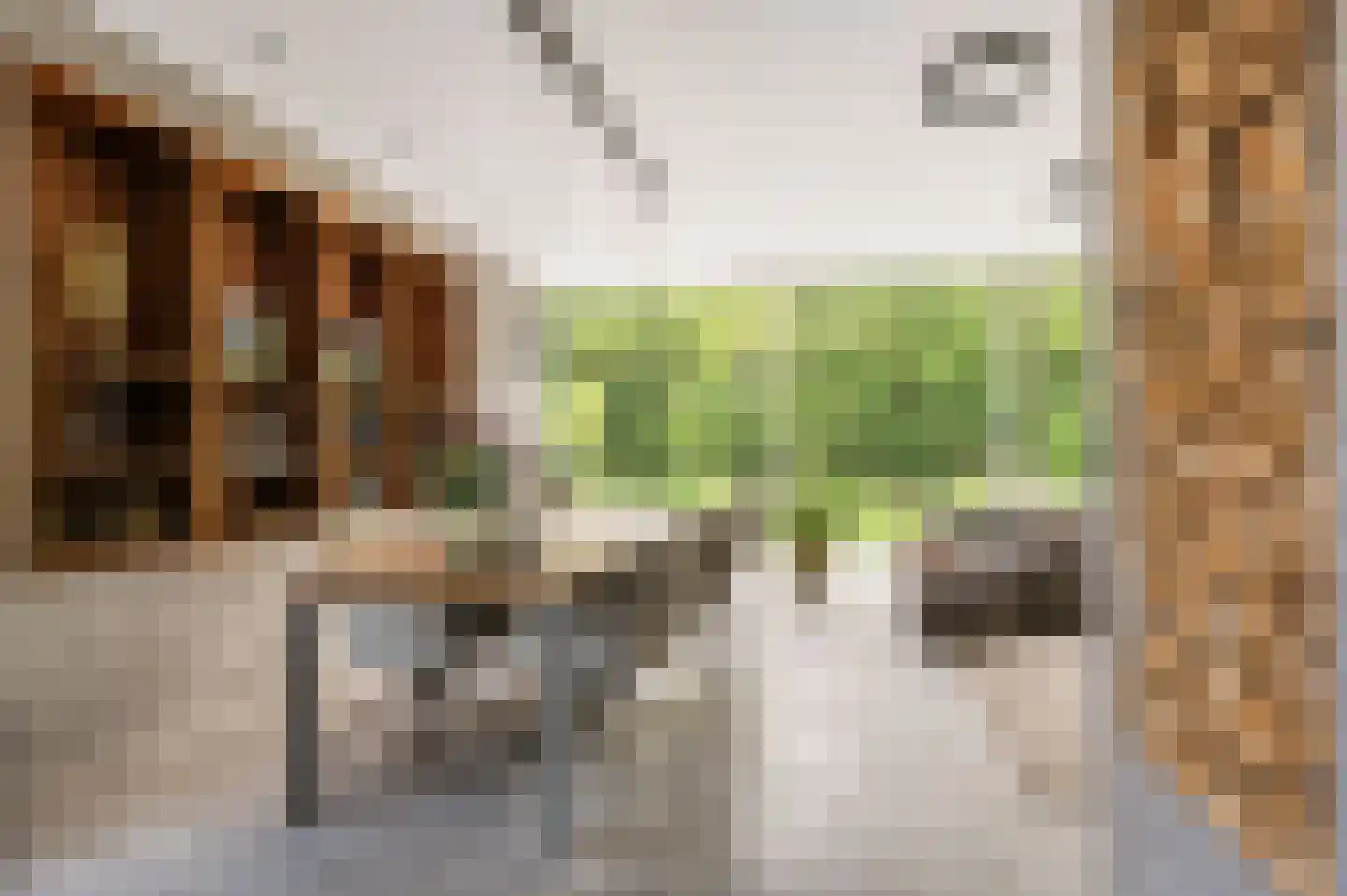 Reggelaan 12 Heemstede thumbnail 11