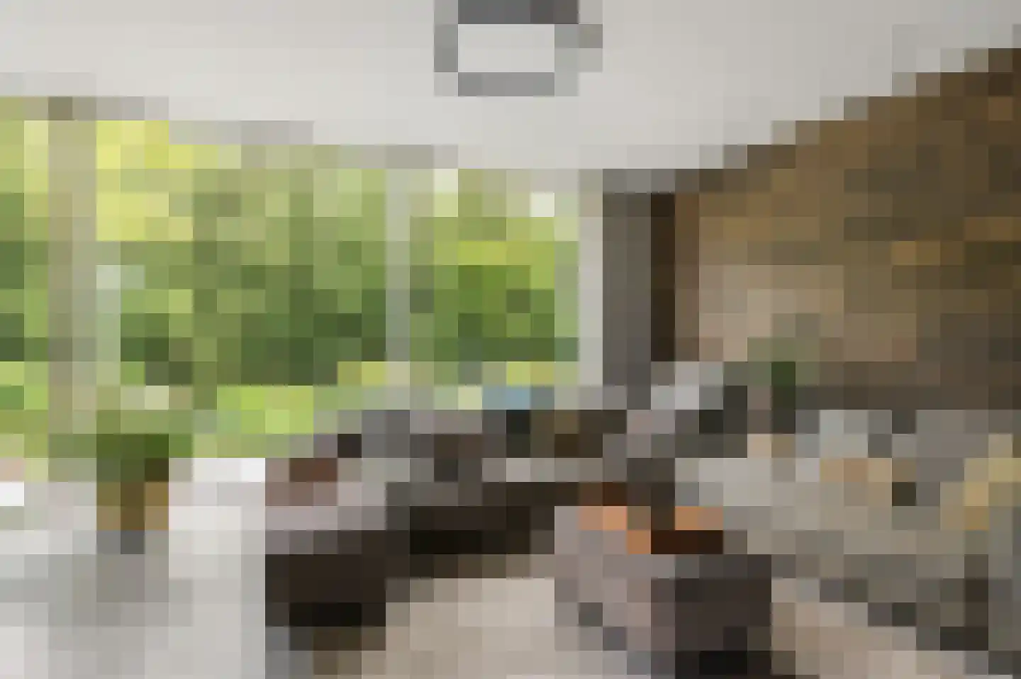 Reggelaan 12 Heemstede thumbnail 16