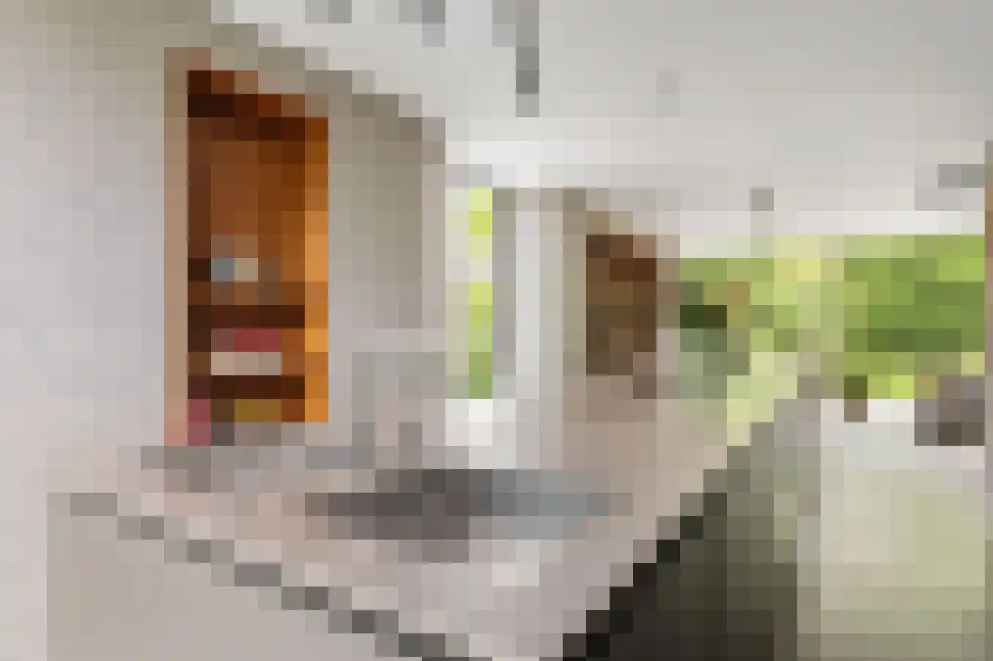 Reggelaan 12 Heemstede thumbnail 17