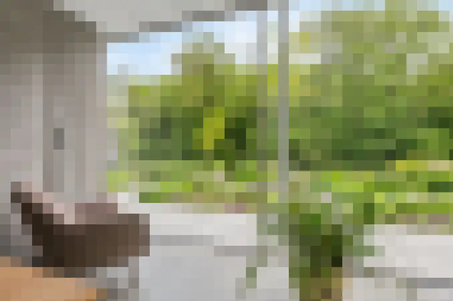 Reggelaan 12 Heemstede thumbnail 19
