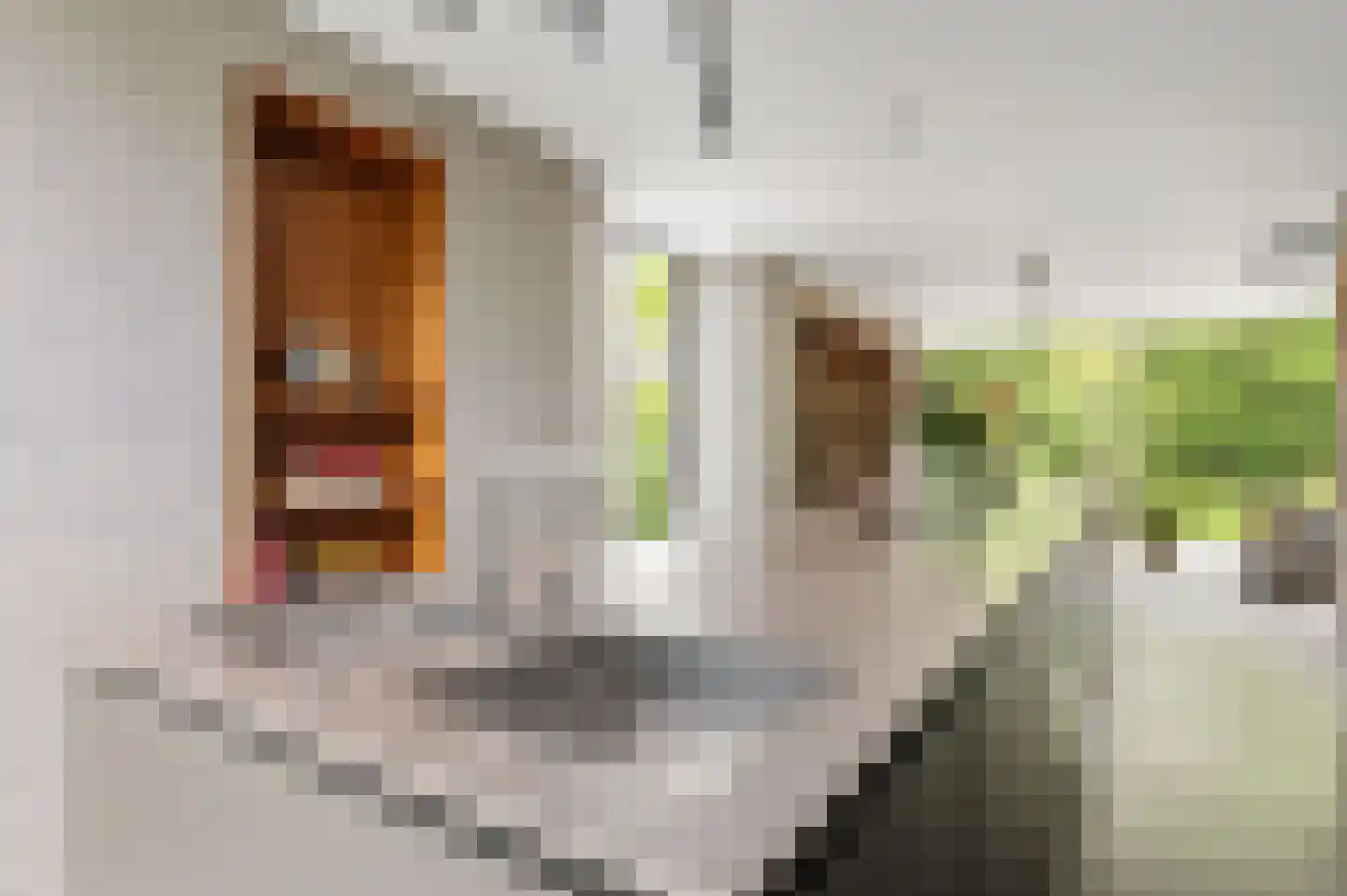 Reggelaan 12 Heemstede thumbnail 20
