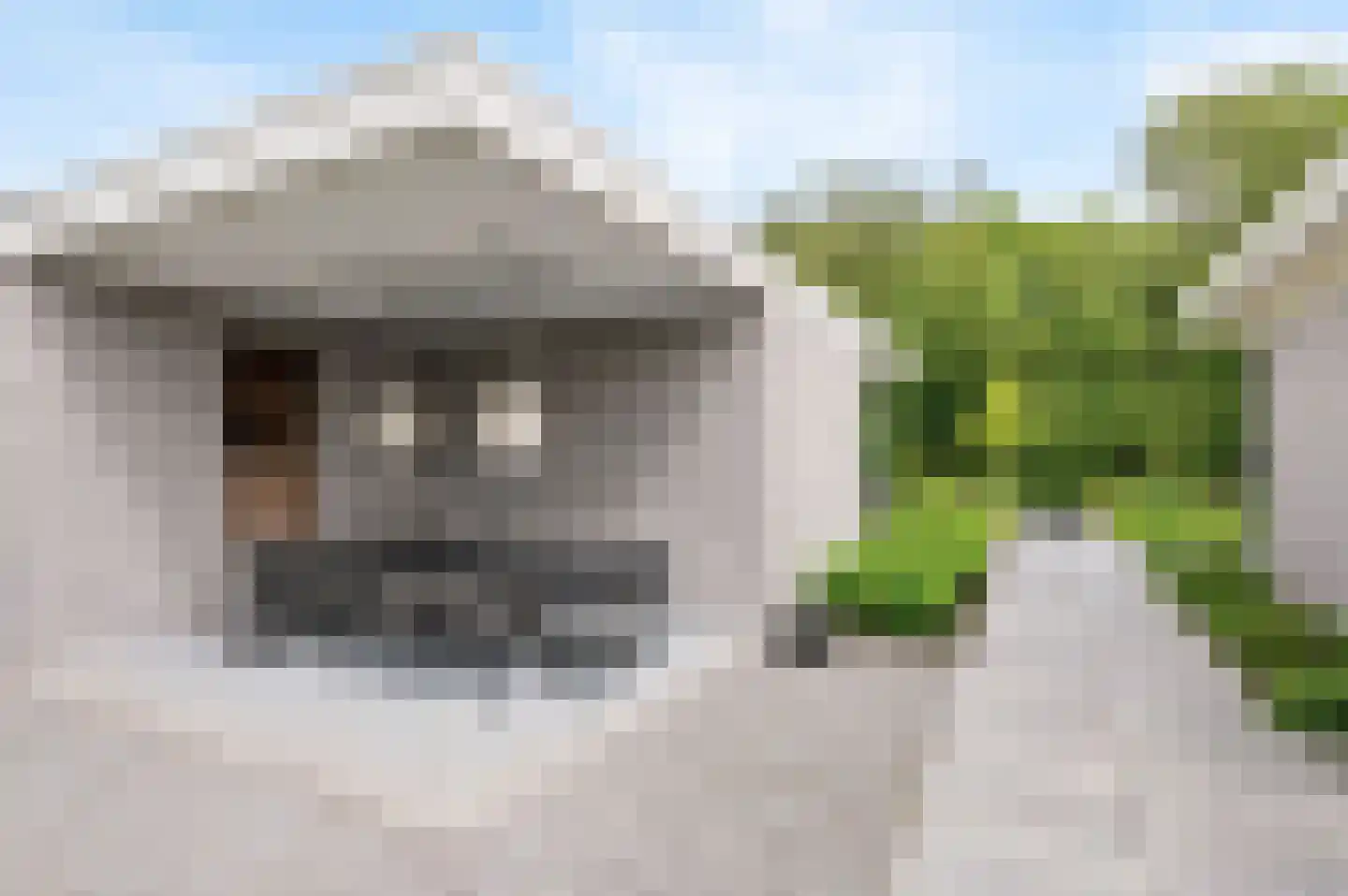 Reggelaan 12 Heemstede thumbnail 30