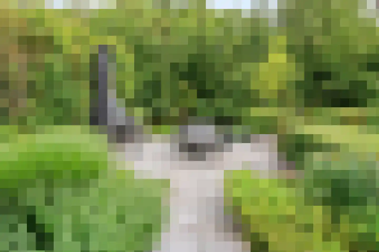 Reggelaan 12 Heemstede thumbnail 34