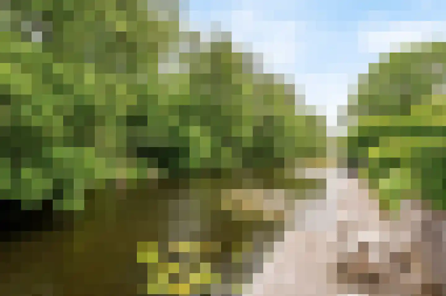 Reggelaan 12 Heemstede thumbnail 37