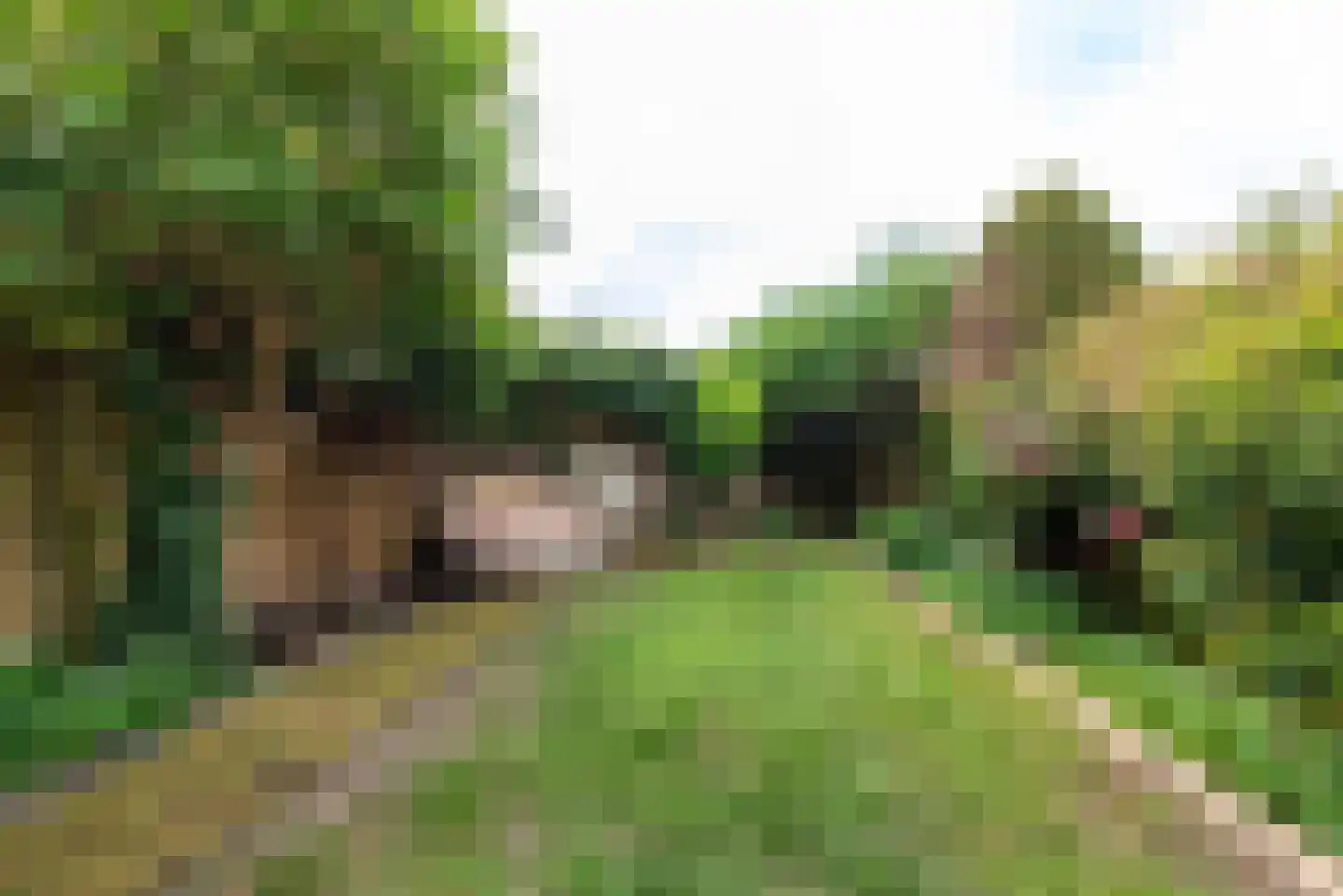 Reggelaan 15 Heemstede thumbnail 13