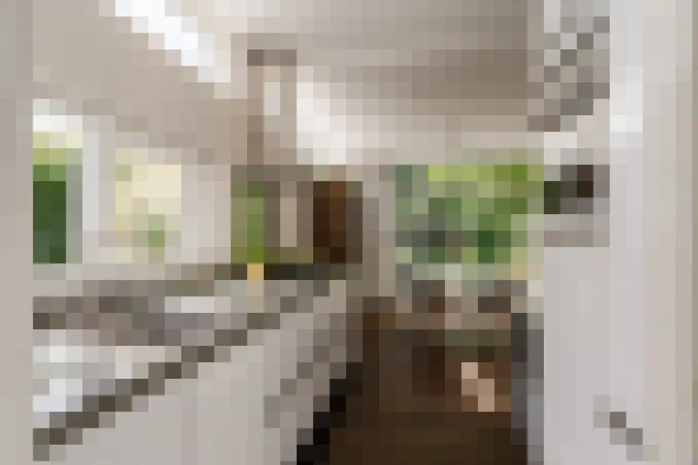 Reggelaan 18 Heemstede thumbnail 16
