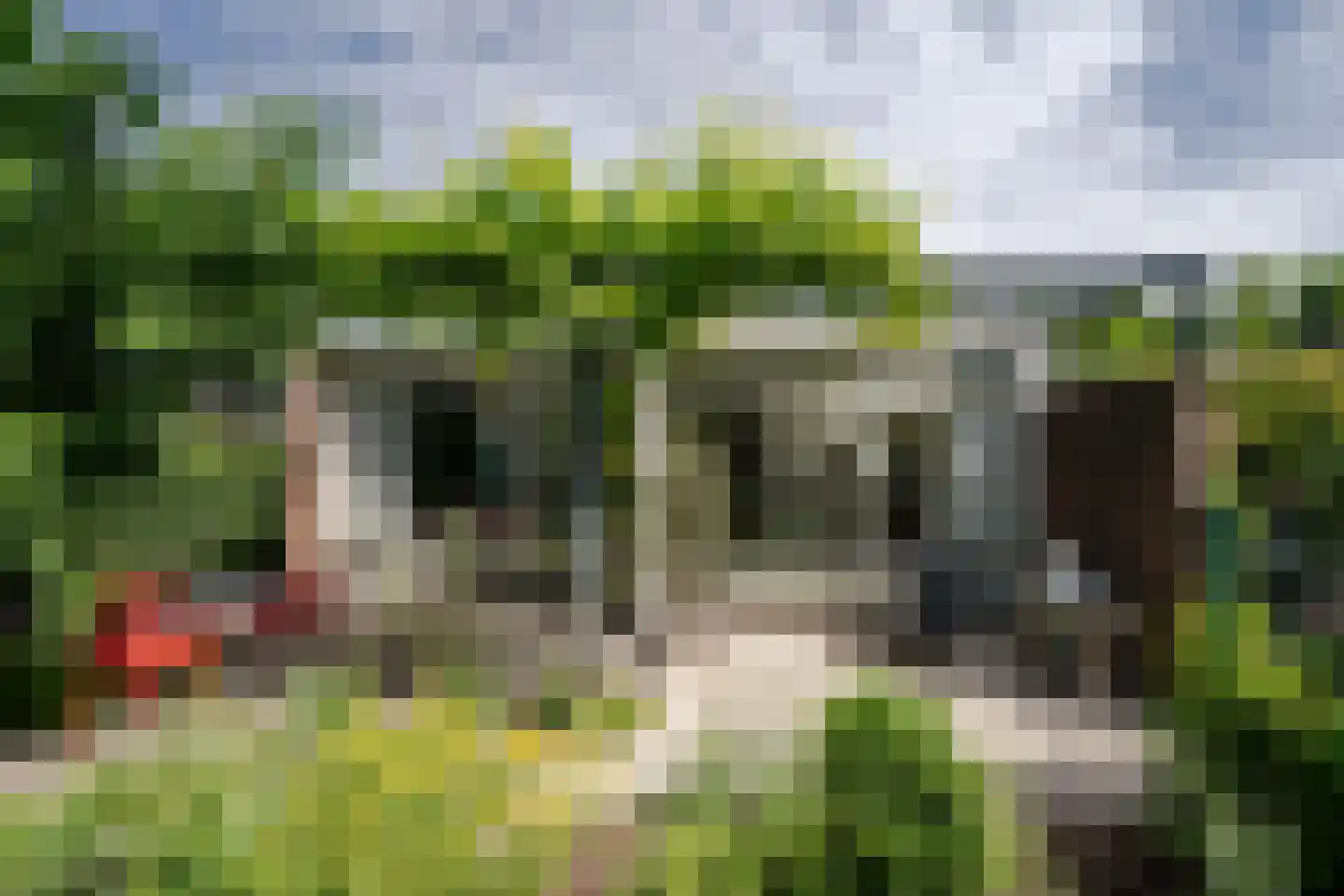 Reggelaan 18 Heemstede thumbnail 19