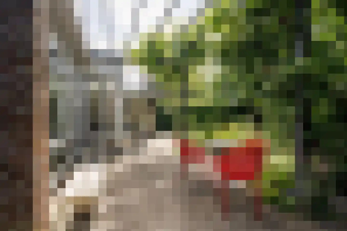 Reggelaan 18 Heemstede thumbnail 21