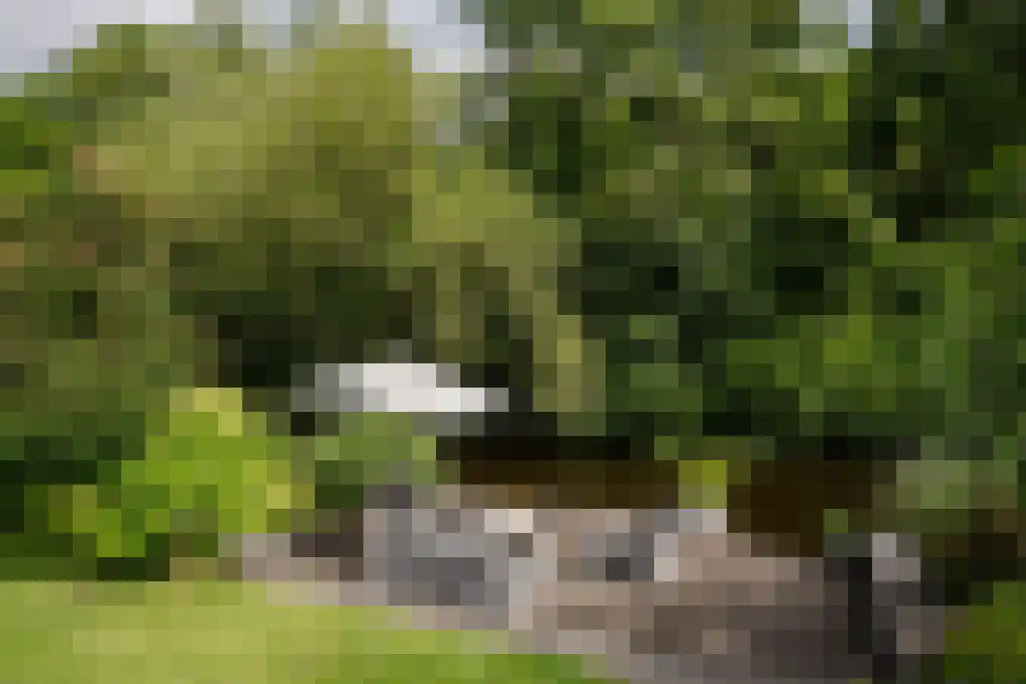 Reggelaan 18 Heemstede thumbnail 4