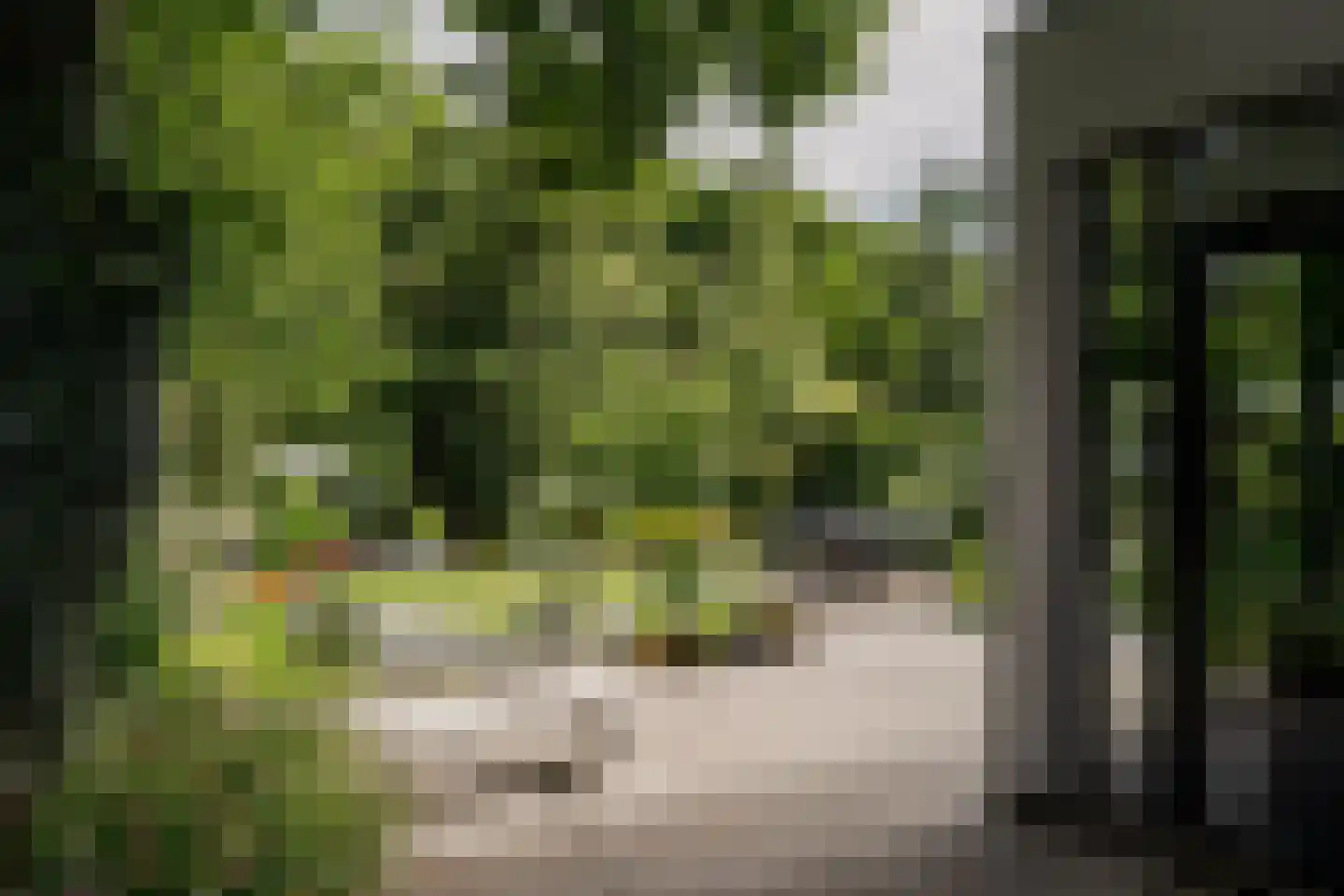 Reggelaan 18 Heemstede thumbnail 47