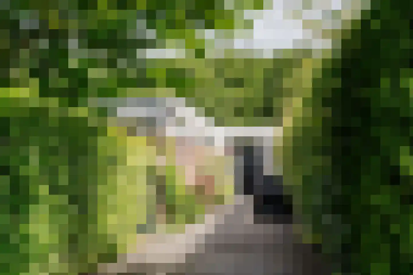 Reggelaan 18 Heemstede thumbnail 5