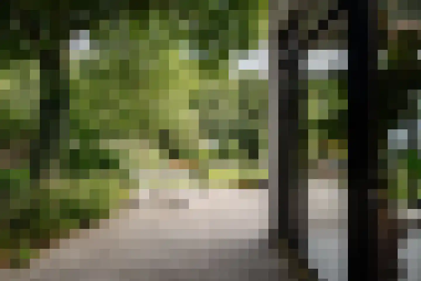 Reggelaan 18 Heemstede thumbnail 50
