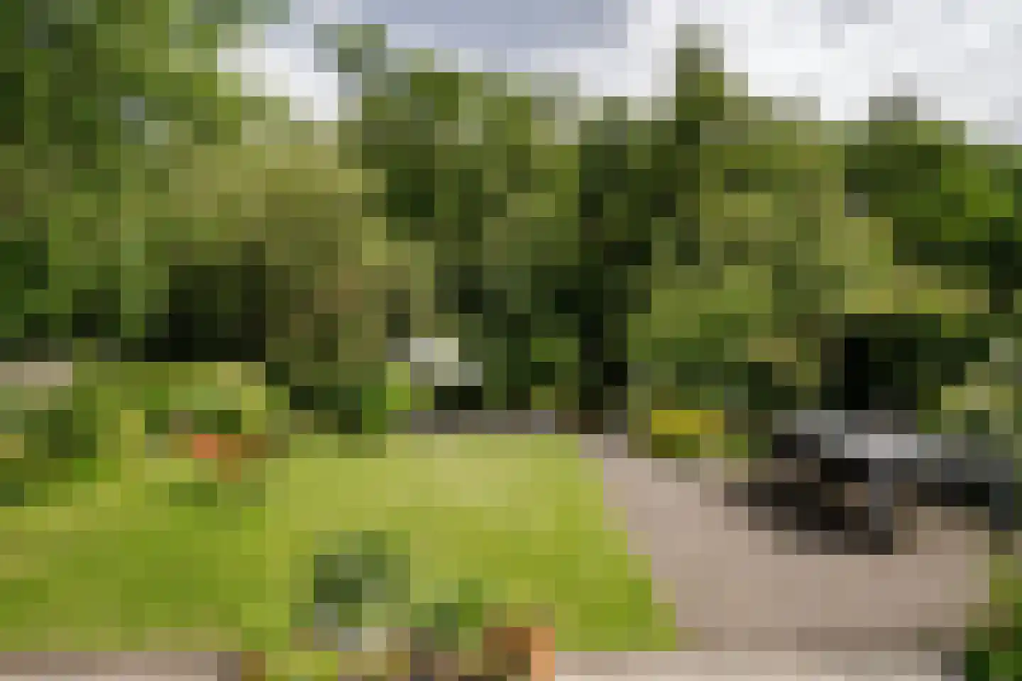 Reggelaan 18 Heemstede thumbnail 51