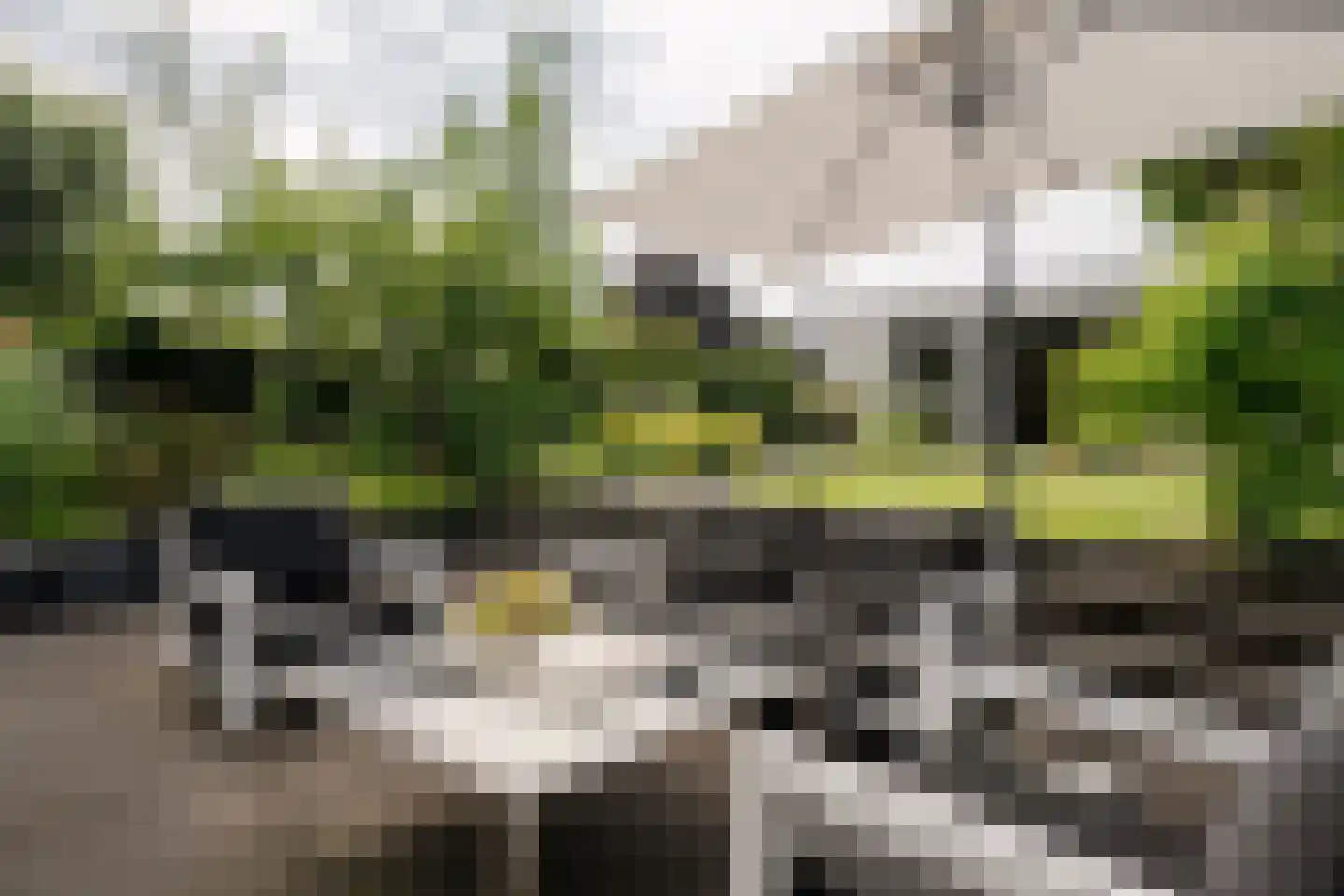 Reggelaan 18 Heemstede thumbnail 53