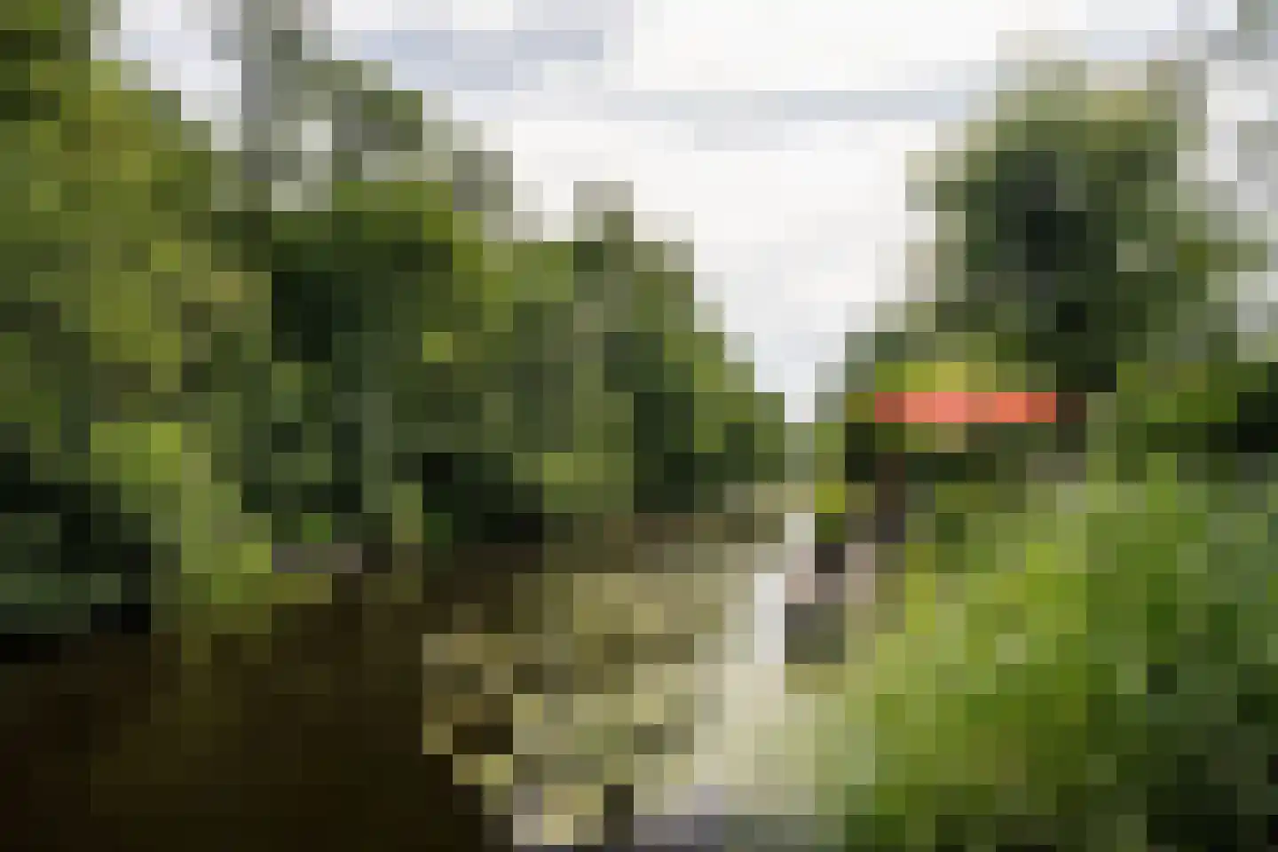 Reggelaan 18 Heemstede thumbnail 54