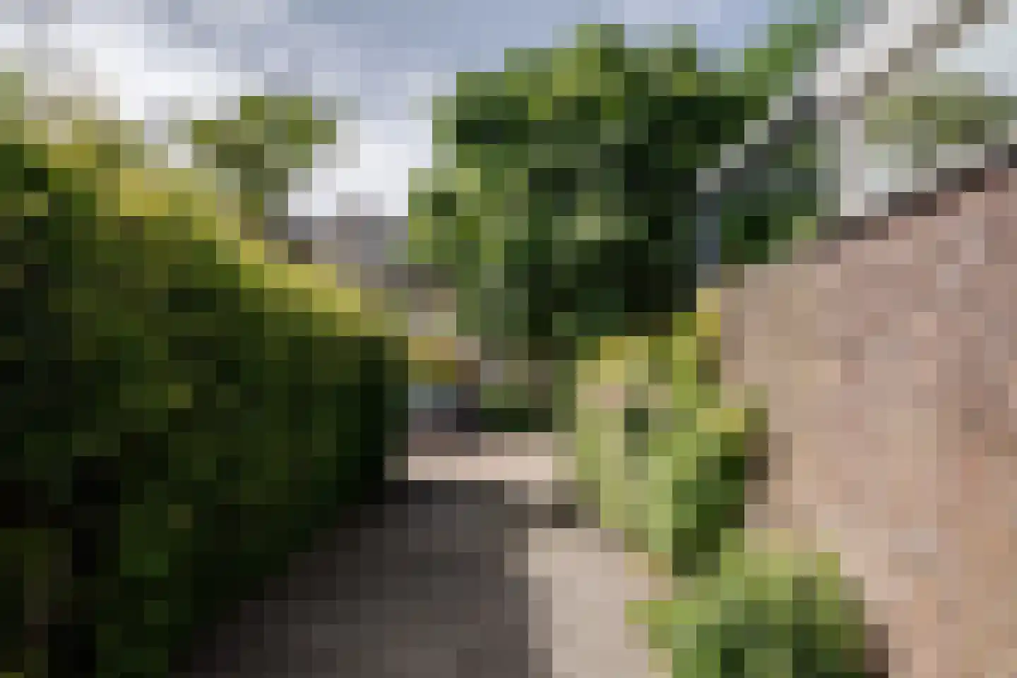 Reggelaan 18 Heemstede thumbnail 57