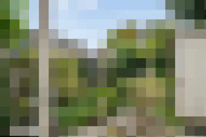 Reggelaan 88 Zwolle thumbnail 10