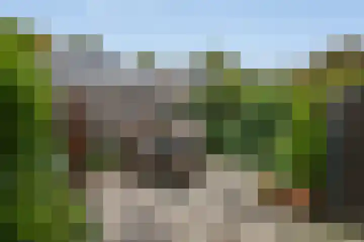 Reggelaan 88 Zwolle thumbnail 11