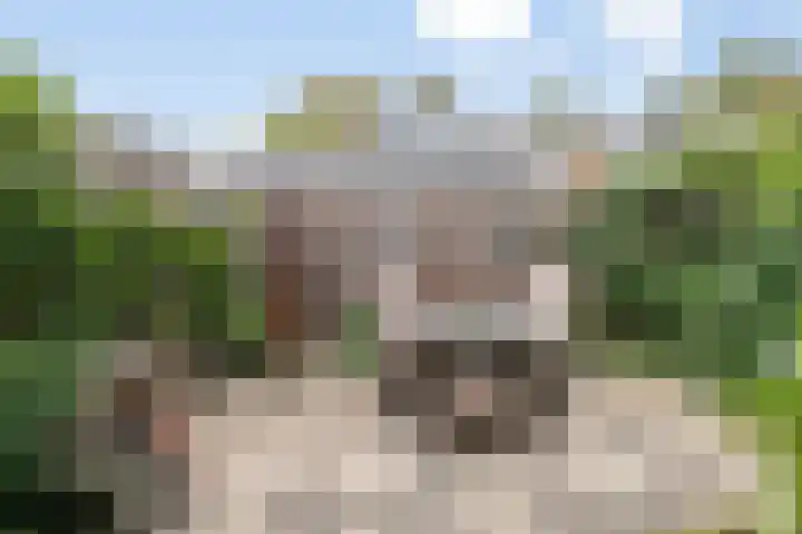 Reggelaan 88 Zwolle thumbnail 12