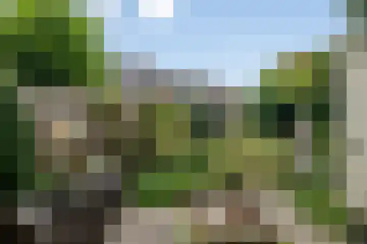 Reggelaan 88 Zwolle thumbnail 13
