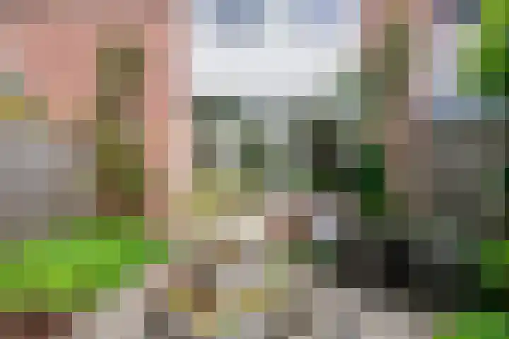 Reggelaan 88 Zwolle thumbnail 14