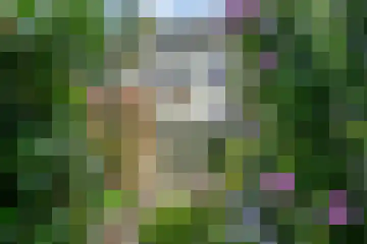Reggelaan 88 Zwolle thumbnail 15