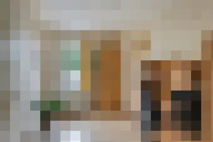 Reggelaan 88 Zwolle thumbnail 25