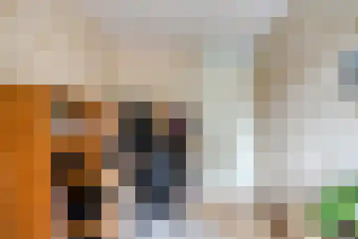 Reggelaan 88 Zwolle thumbnail 26