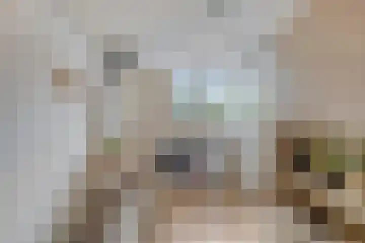 Reggelaan 88 Zwolle thumbnail 27