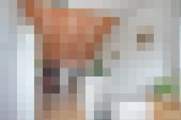 Reggelaan 88 Zwolle thumbnail 28
