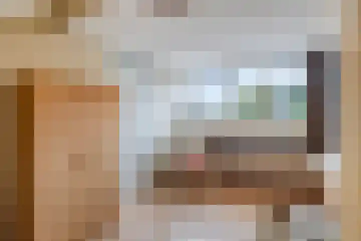 Reggelaan 88 Zwolle thumbnail 30