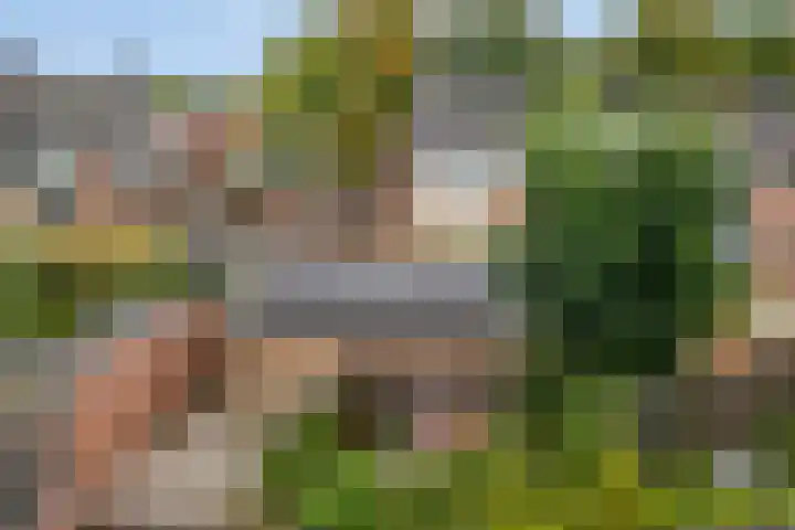 Reggelaan 88 Zwolle thumbnail 32