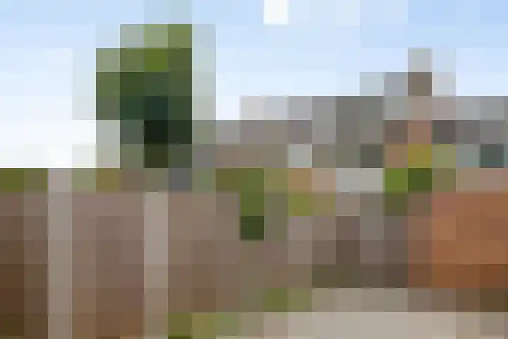 Reggelaan 88 Zwolle thumbnail 33