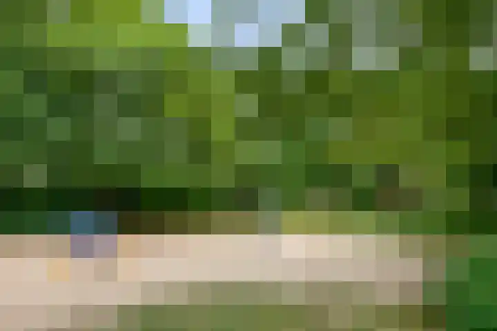 Reggelaan 88 Zwolle thumbnail 34