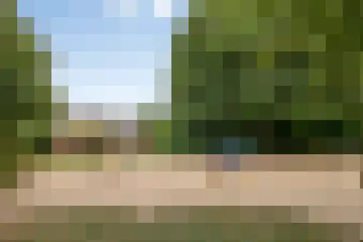 Reggelaan 88 Zwolle thumbnail 35