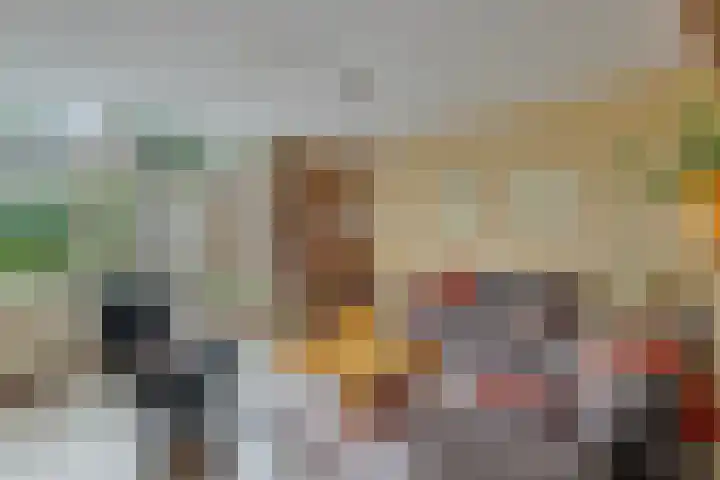 Reggelaan 88 Zwolle thumbnail 6