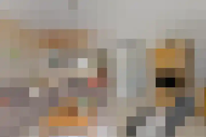 Reggelaan 88 Zwolle thumbnail 7