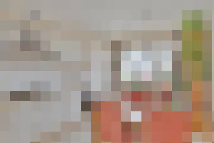 Reggelaan 88 Zwolle thumbnail 8