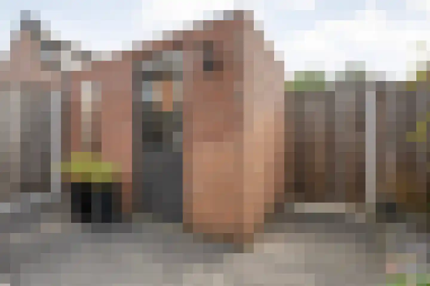 Reggelaan 90 Zwolle thumbnail 43