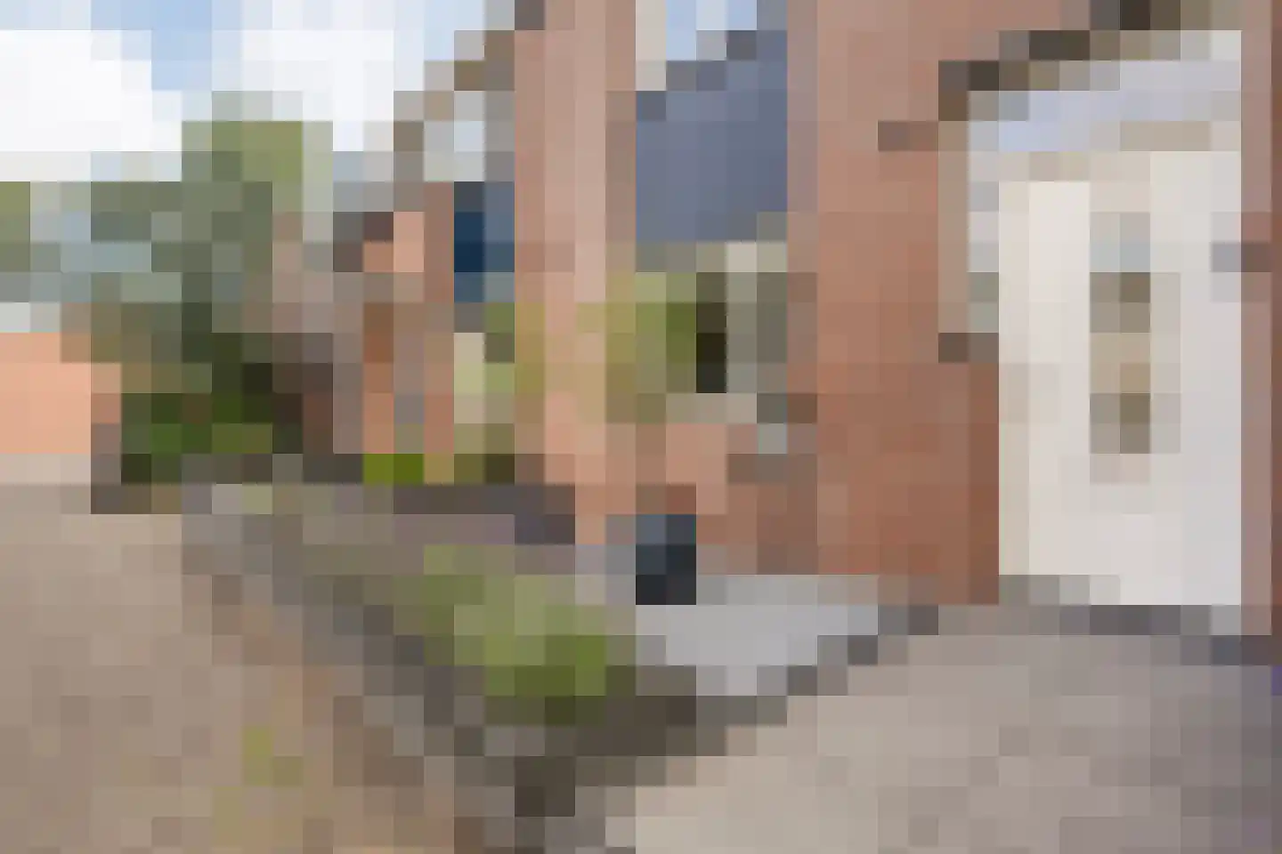 Reggelaan 90 Zwolle thumbnail 5