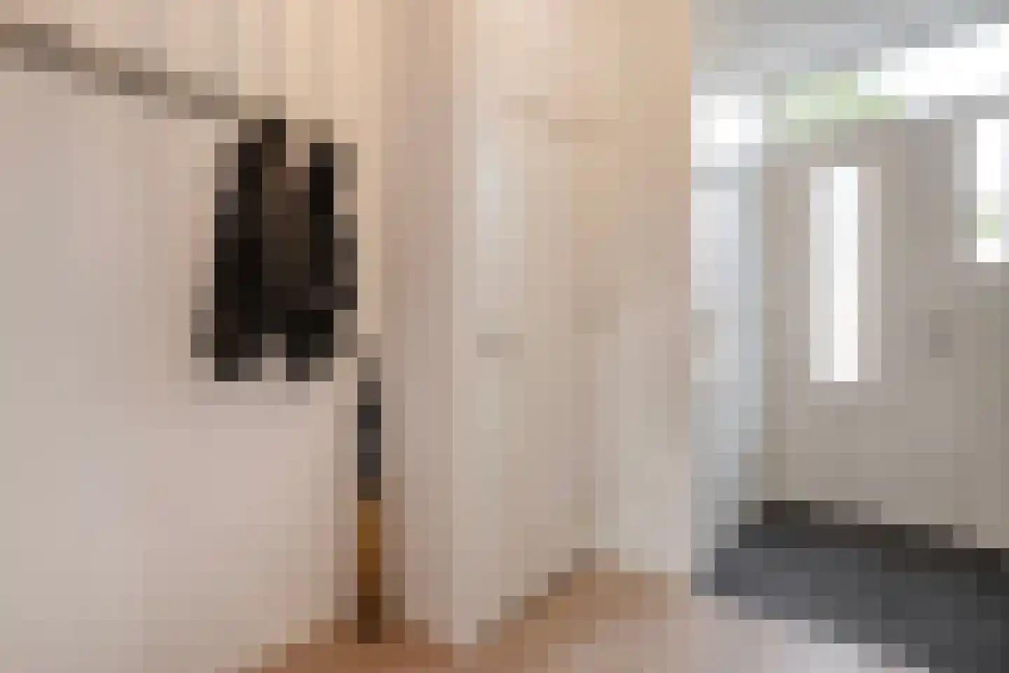 Reggelaan 90 Zwolle thumbnail 8