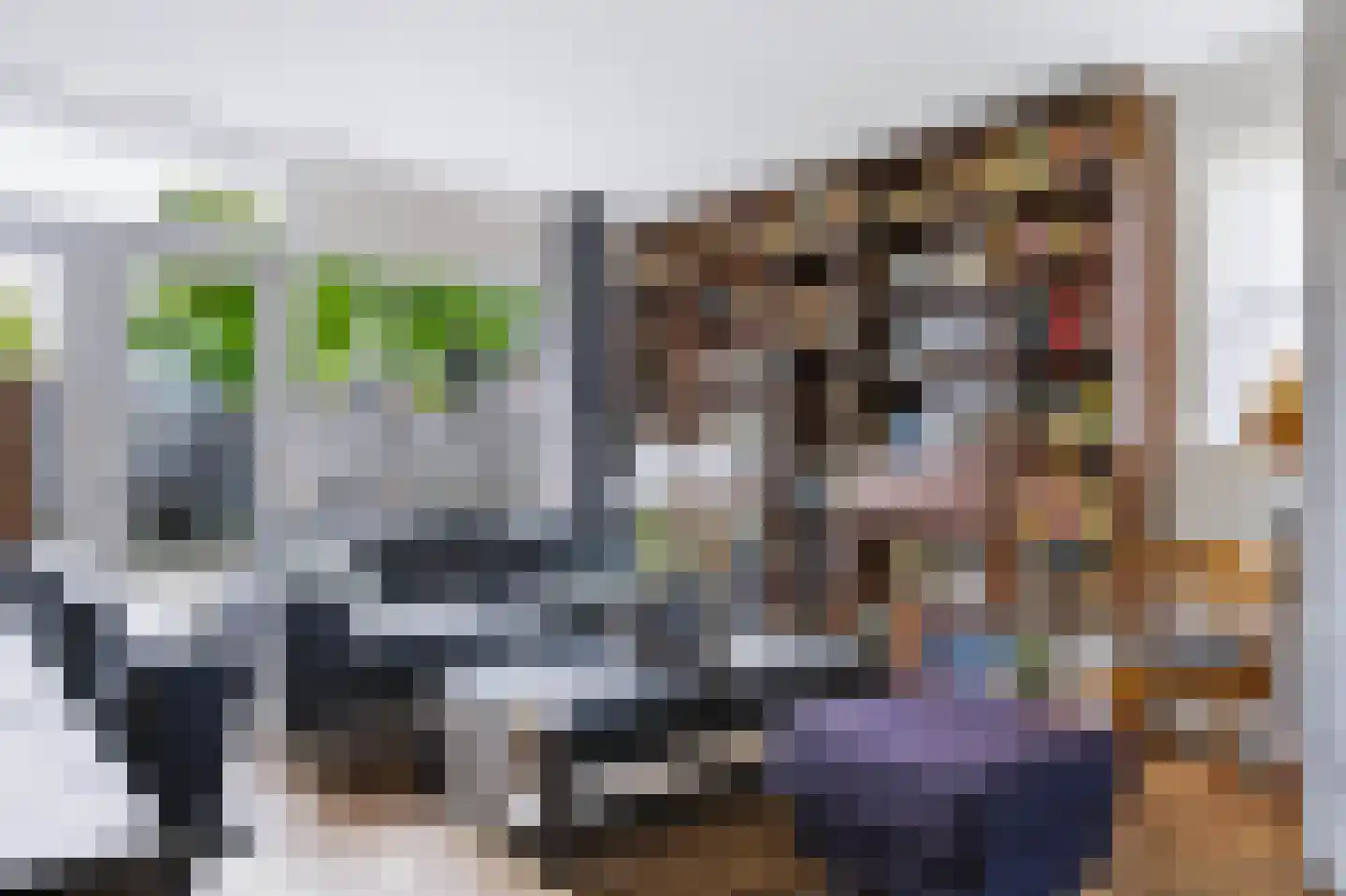 Reggelaan 98 Zwolle thumbnail 4